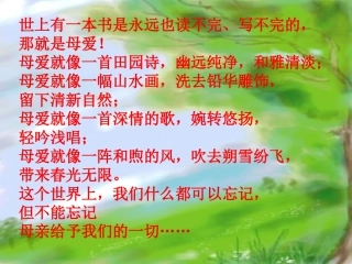 语文七上24荷叶母亲任红英