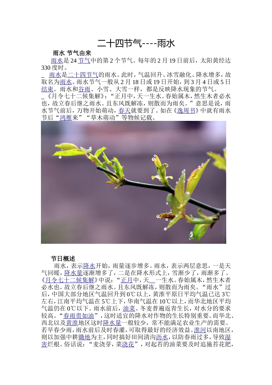 二十四节气之雨水_第1页