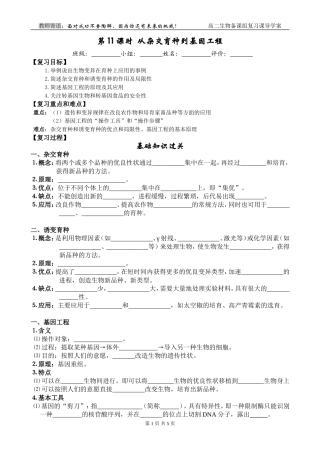 第11课时  从杂交育种到基因工程