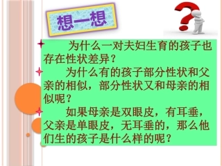 自由组合定律成功