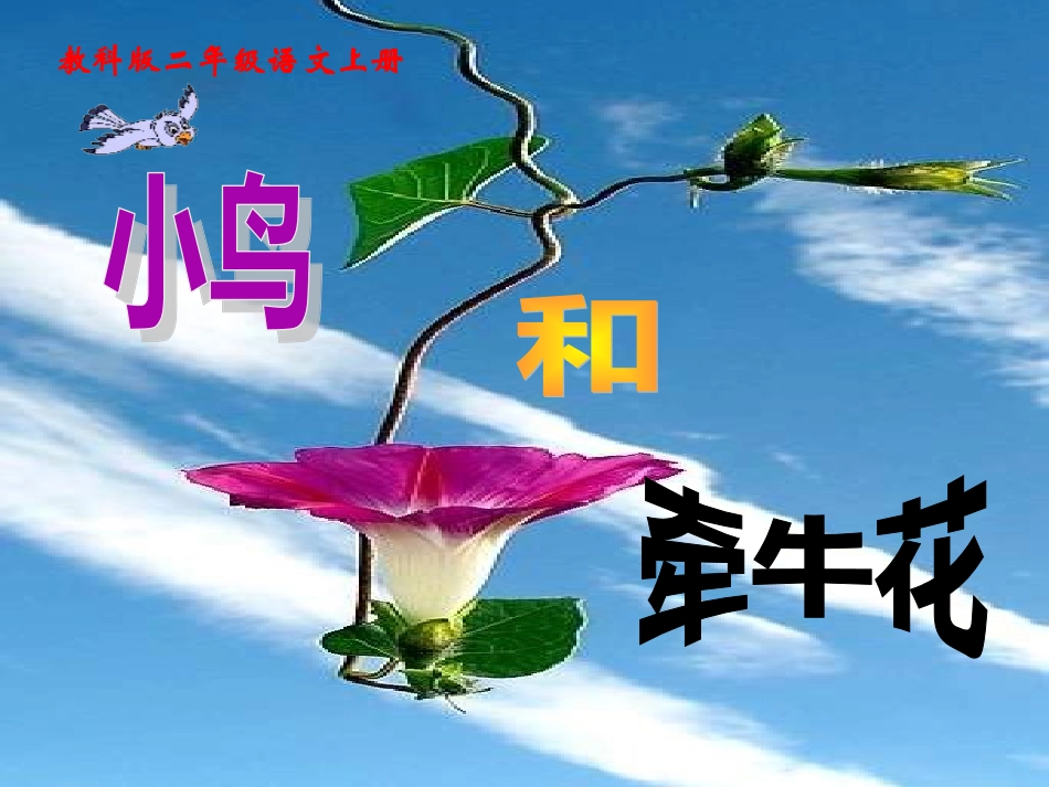 小鸟和牵牛花(完成版)2_第2页
