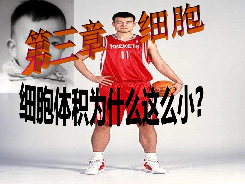 细胞的体积为什么这么小_第1页