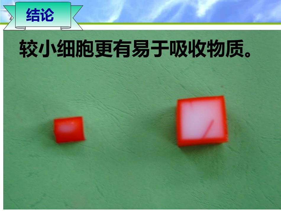 细胞的体积为什么这么小_第3页