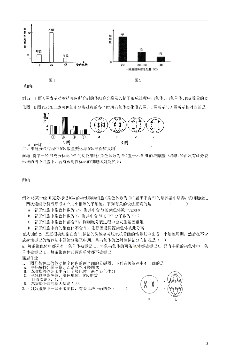陕西省咸阳市泾阳县云阳中学高中生物 2.1 减数分裂与受精作用复习（第三课时）导学案 新人教版必修2_第3页