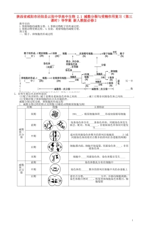 陕西省咸阳市泾阳县云阳中学高中生物 2.1 减数分裂与受精作用复习（第三课时）导学案 新人教版必修2