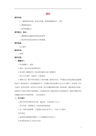 五年级语文上册 琥珀 2教案 长春版