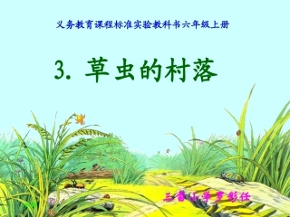 草虫的村落修改后课件罗彩任