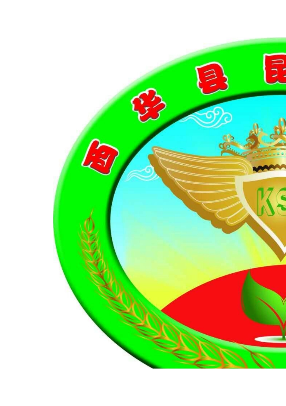 教学设计教案----快速跑教案_第2页