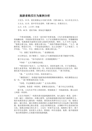 旅游者购买行为案例分析
