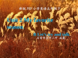 新版PEP五下Unit2BLet'stryandtalkPPT