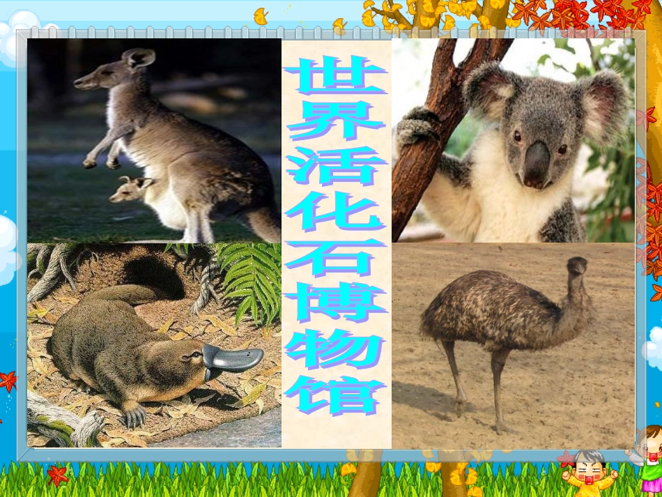澳大利亚上课用课件_第2页