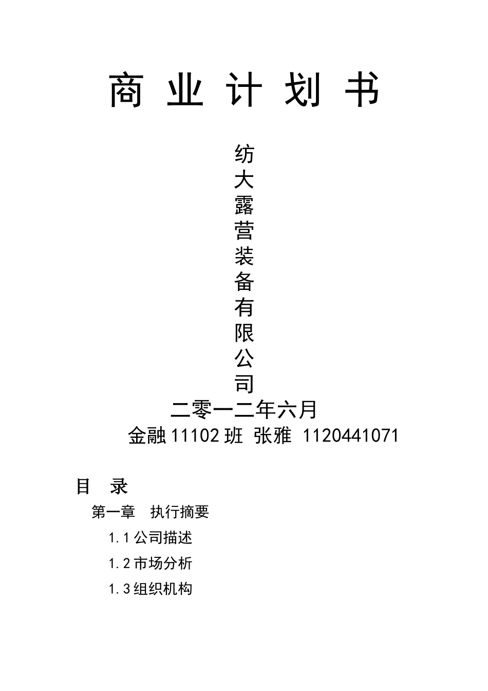 露营-商业计划书_第1页
