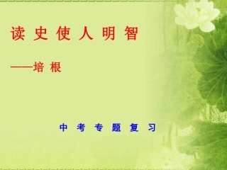 中考专题复习----两次世界大战