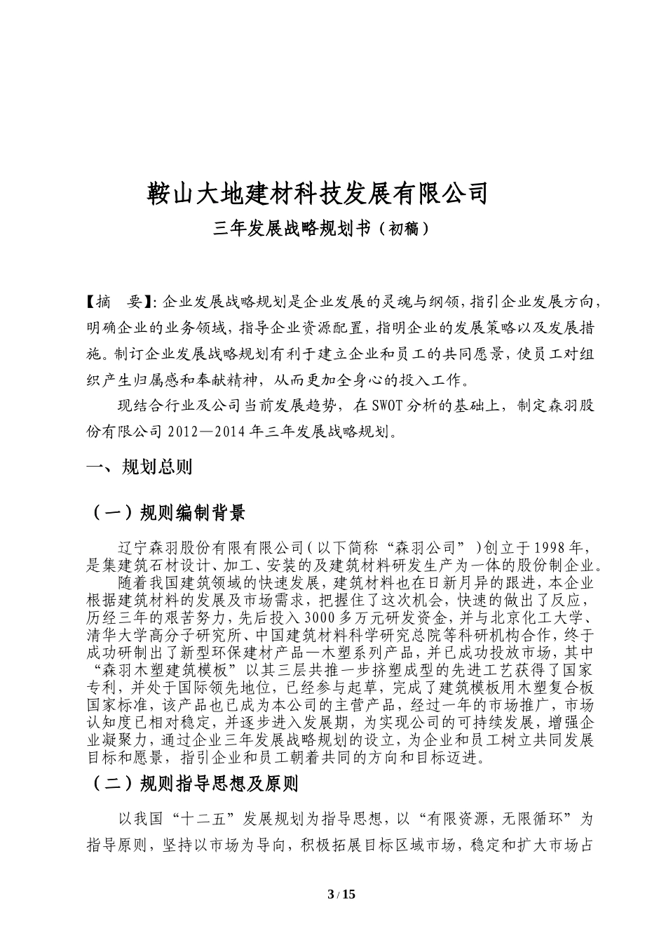 某公司三年发展战略规划书(2)_第3页