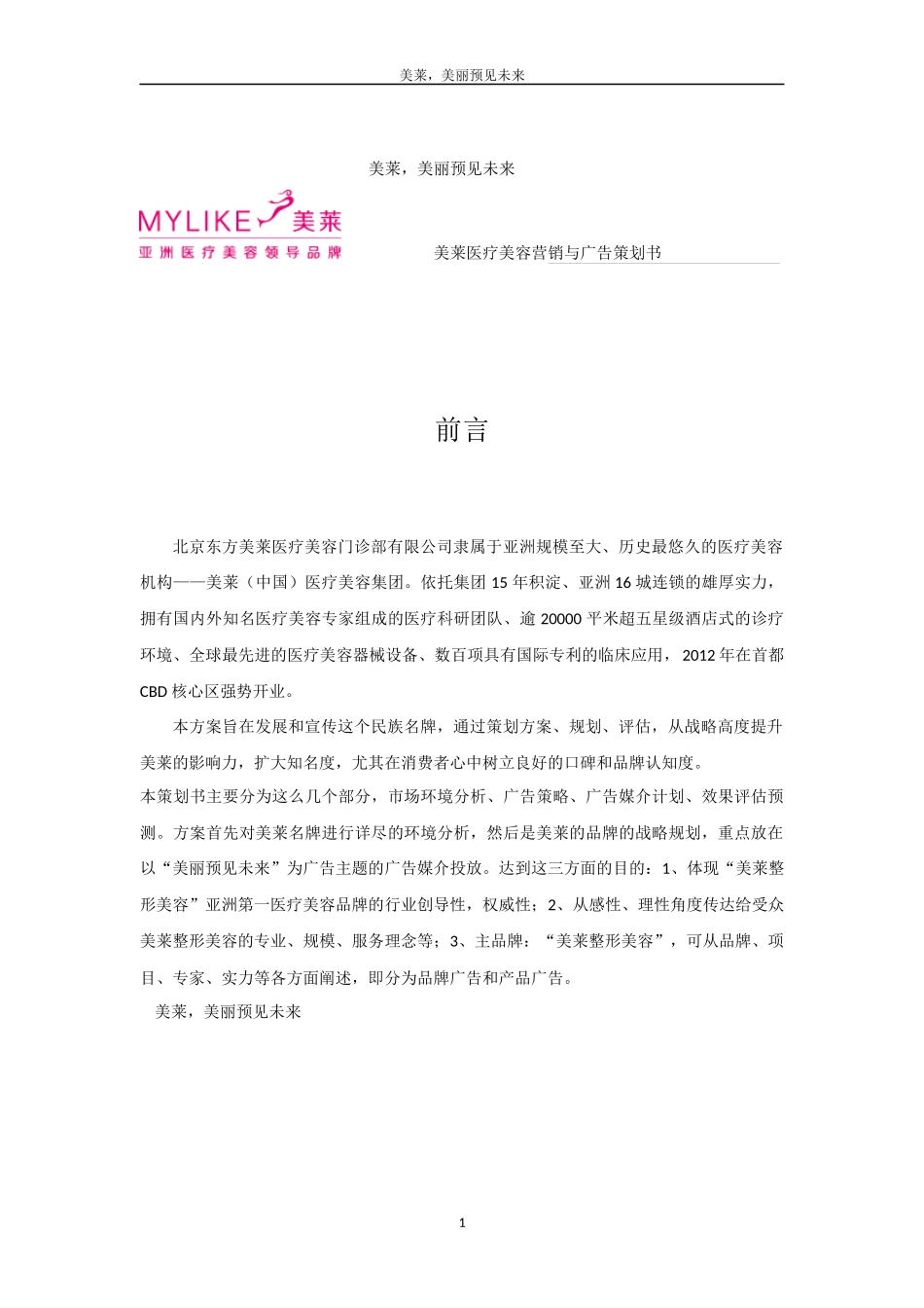 美莱医疗美容营销与广告策划书_第2页