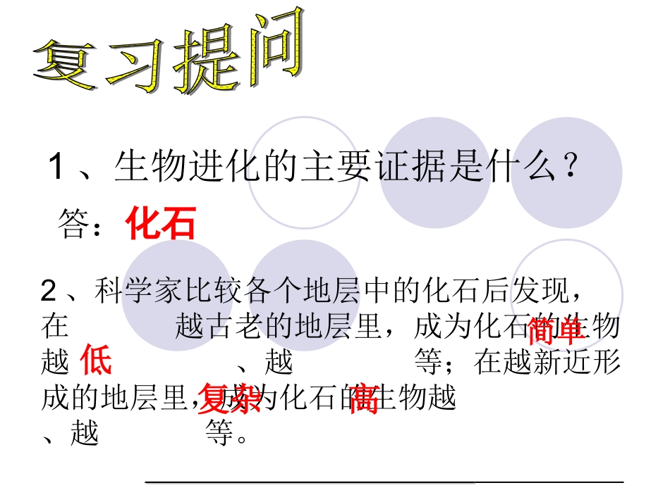 生物进化的历程_第2页