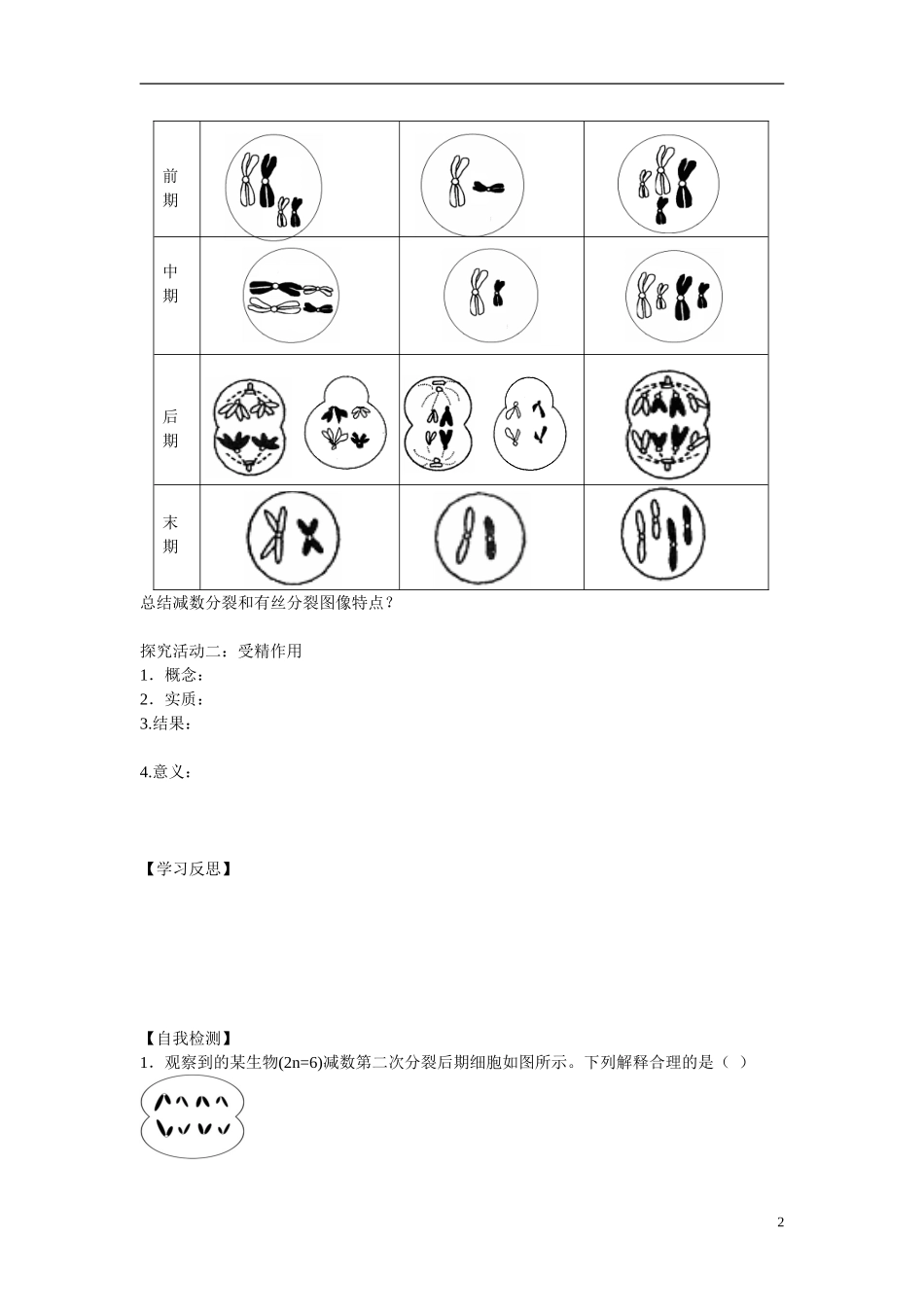 江苏省赣榆县外国语学校高考生物一轮复习 3.0高三生物减数分裂和受精作用学案 苏教版_第2页