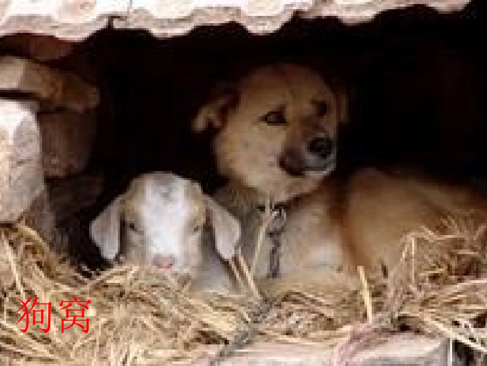 鄂教版三年级上册语文乐园六_第2页