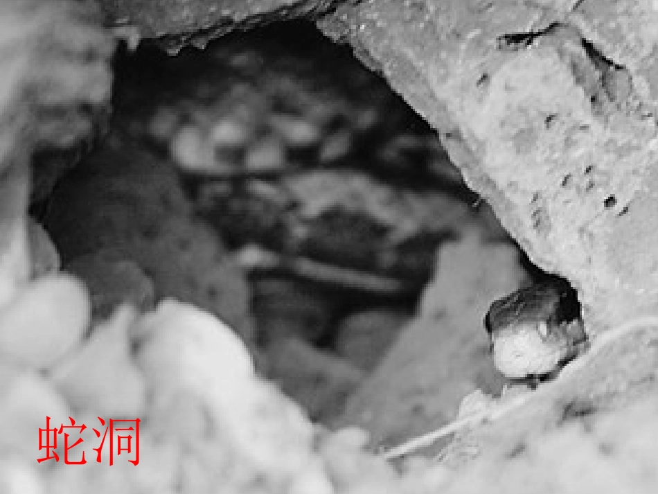 鄂教版三年级上册语文乐园六_第3页