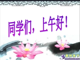 江畔独步寻花---