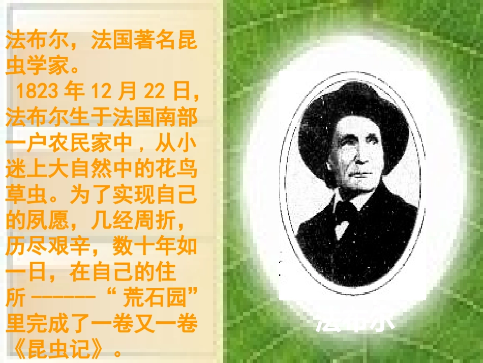 绿色蝈蝈 (2)_第3页