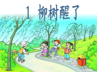 柳树醒了课件 (3)