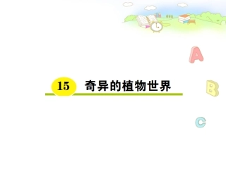 奇异的植物世界 (2)