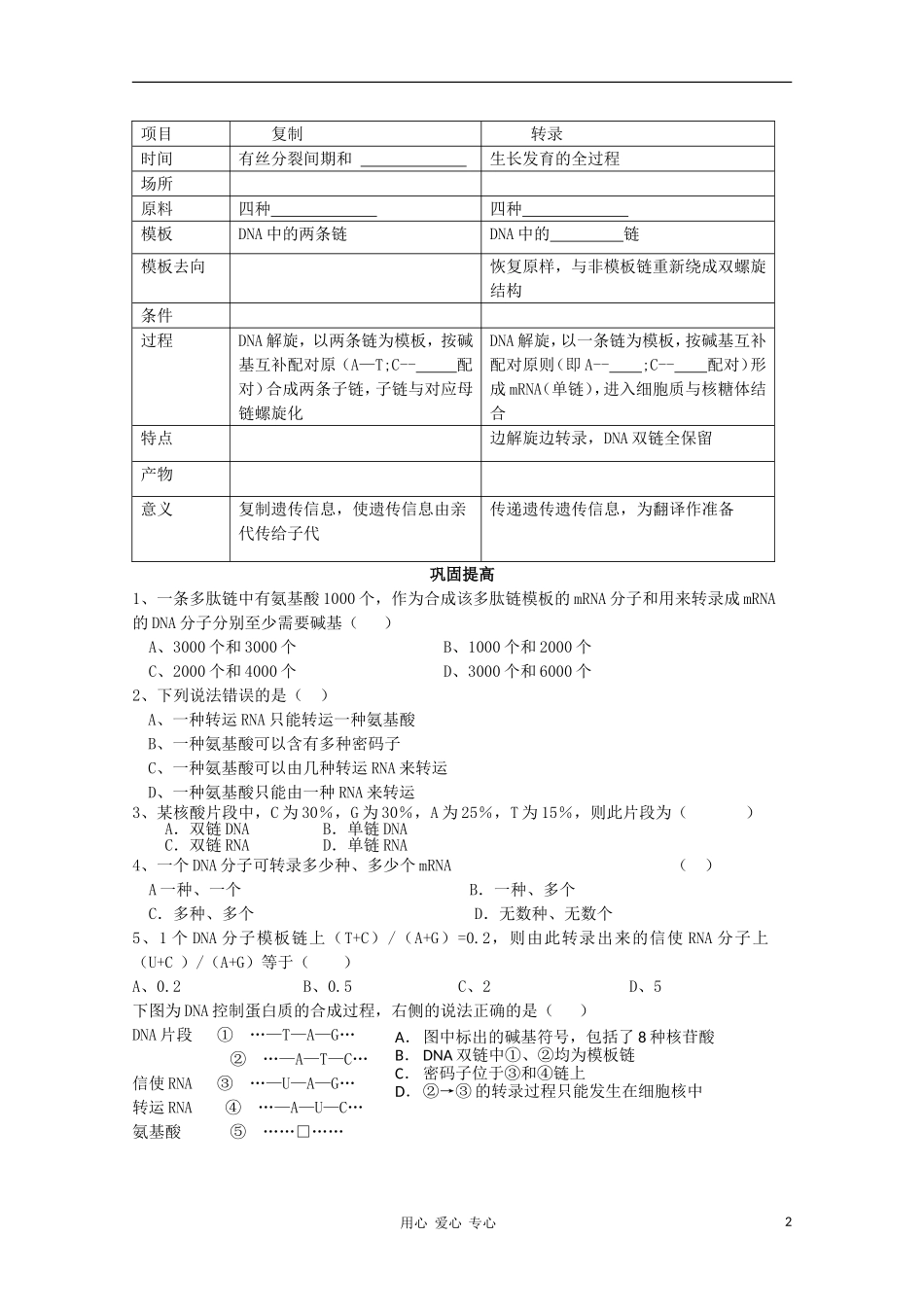 睢县回族高级中学高中生物《遗传与变异》12第四章第1节基因指导蛋白质的合成导学案 必修2_第2页