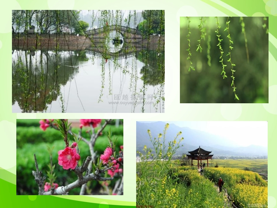 故事：小蝌蚪找妈妈_第2页