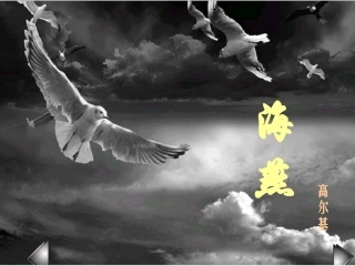 海燕精品课件(高尔基)