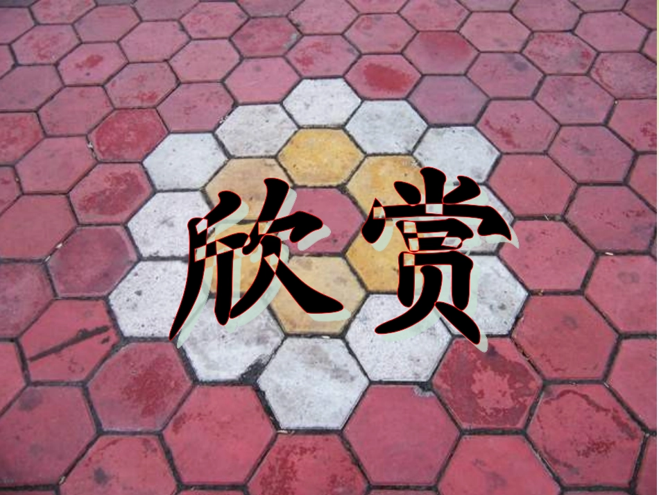 初中二年级数学上册课题学习镶嵌_第2页