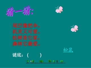《松鼠和松果》PPT课件