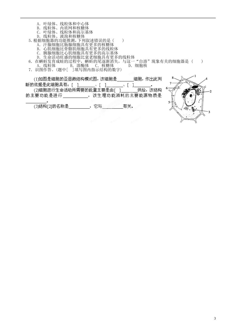山东省平邑县曾子学校高中生物 第3章第2节 细胞器 系统内的分工合作（一）学案 新人教版必修1_第3页