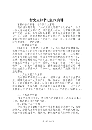 村党支部书记汇报演讲稿