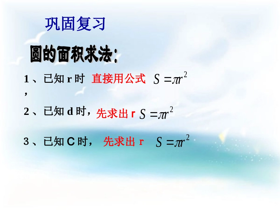 圆的面积第2课时_第2页