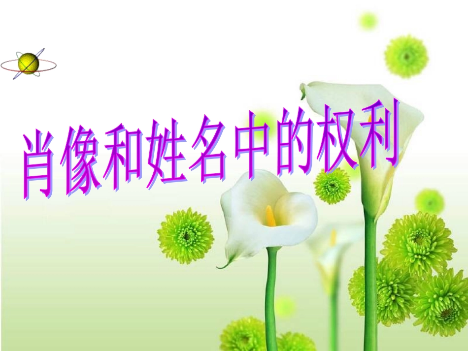 肖像和姓名中的权利_第2页