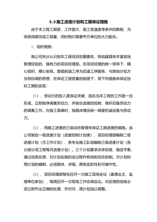 进度计划及保证措施