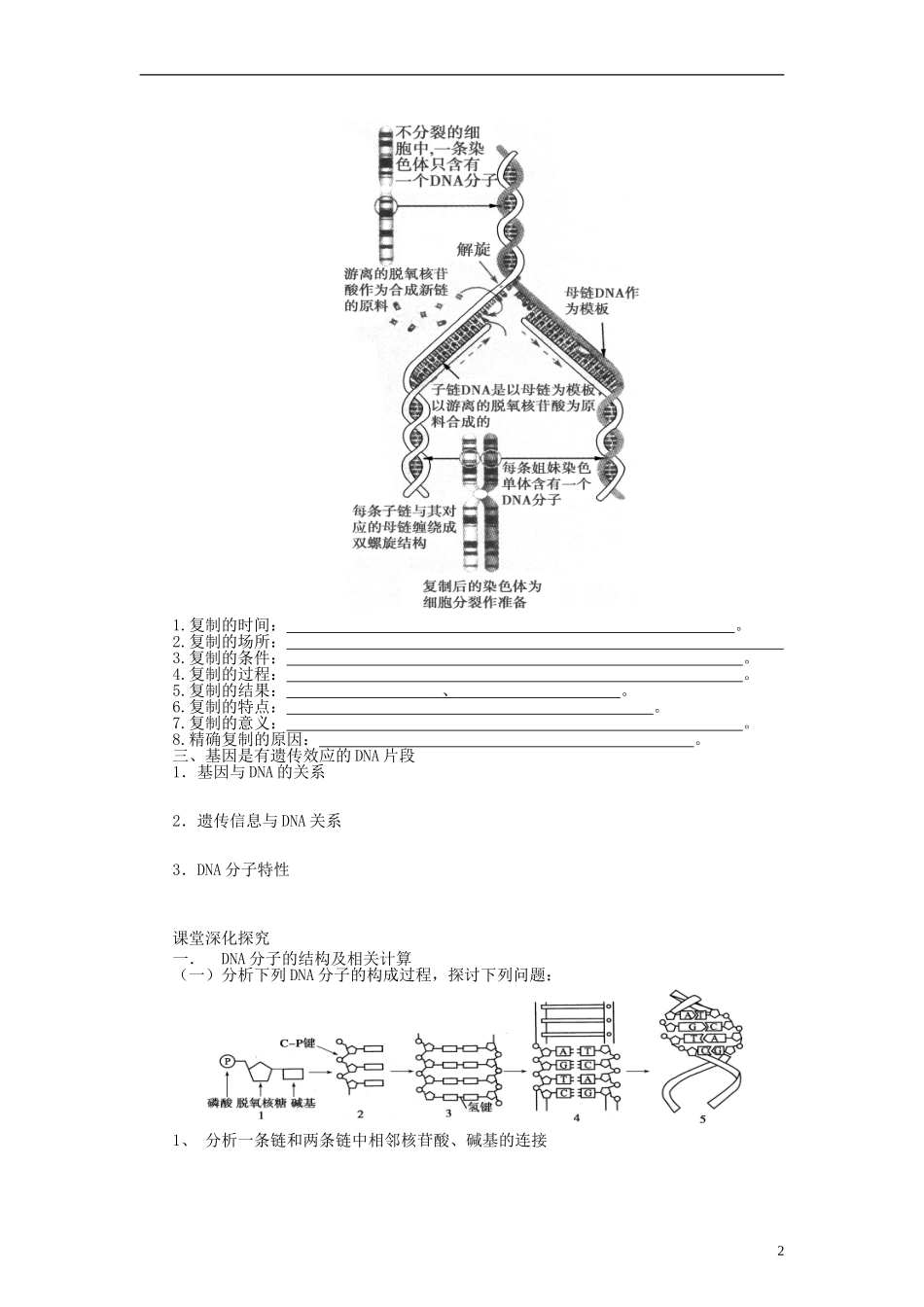 山东省沂水县第一中学高考生物一轮复习 DNA分子的结构、复制及基因（第1课时）学案 新人教版_第2页