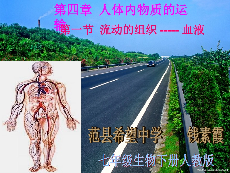 流动的组织——血液说课演示文稿_第1页