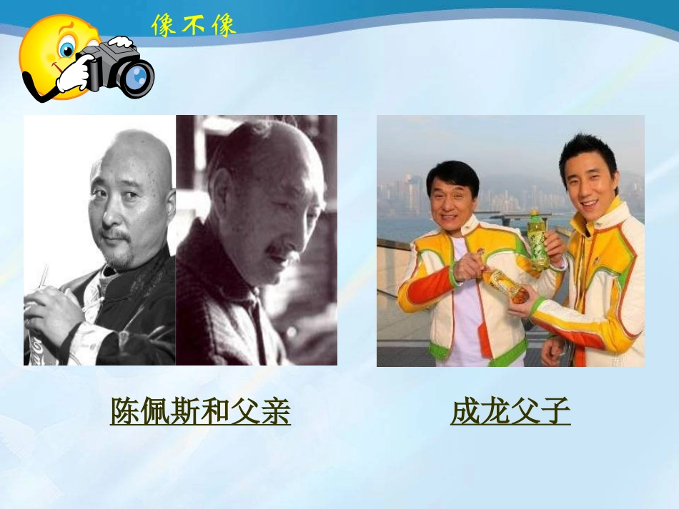 新人教版__初中生物_第一节_基因控制生物的性状_第2页