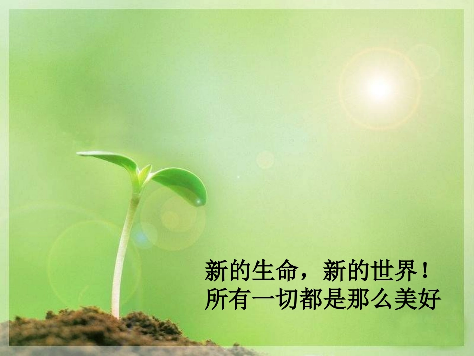 永生的眼睛PPT_第3页