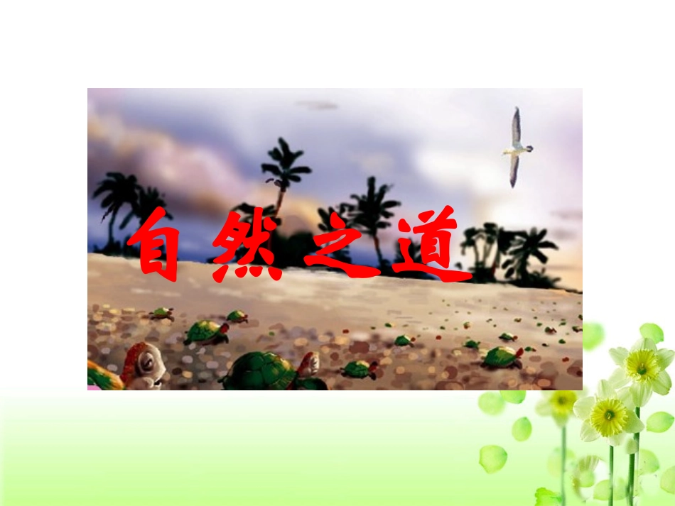 《自然之道》教学课件1_第1页