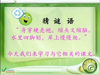小乌龟笑了课件
