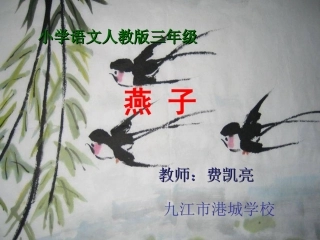 《燕子》PPT课件0503