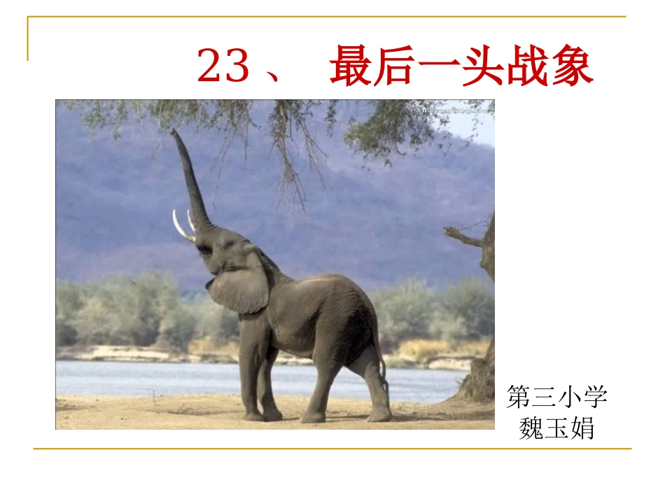 最后一头战象3_第1页