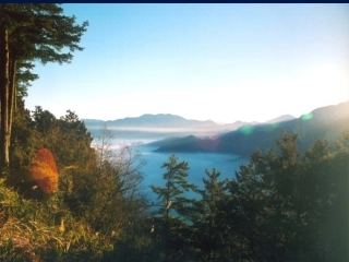 阿里山纪行1114