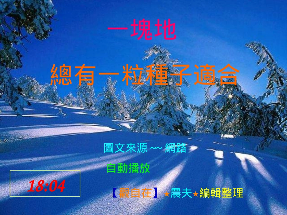 一塊地總有一粒種子適合_第1页