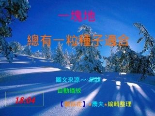 一塊地總有一粒種子適合
