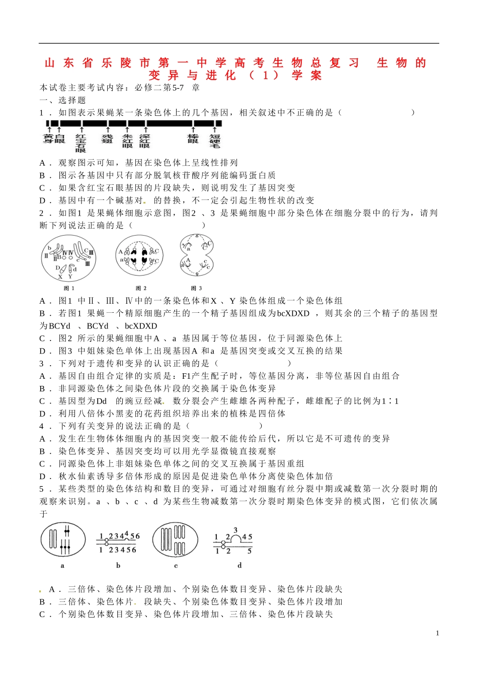 山东省乐陵市第一中学高考生物总复习 生物的变异与进化（1）学案_第1页