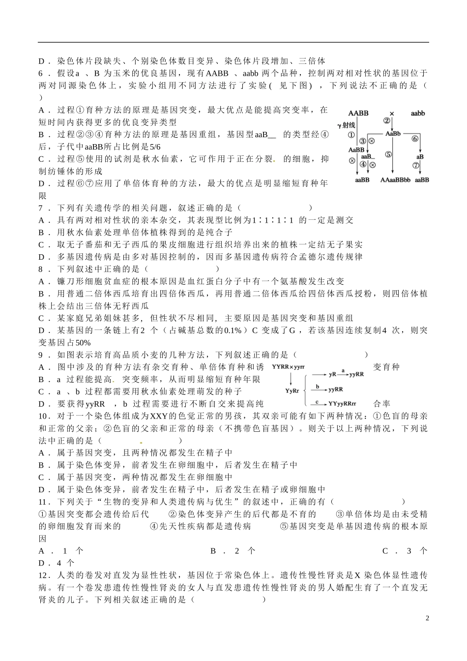 山东省乐陵市第一中学高考生物总复习 生物的变异与进化（1）学案_第2页
